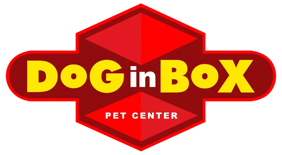 Dog in Box