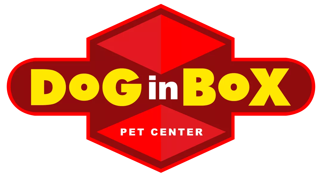 Dog in Box
